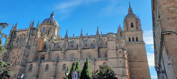 Cathédrale de Salamanque